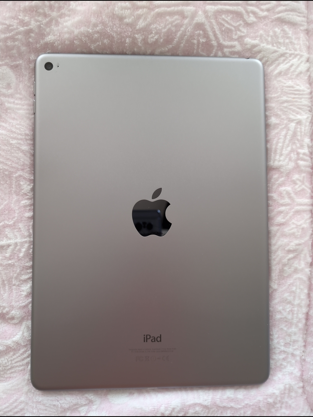 Apple iPad Air 2 W/ Case And Screen Protector - Space Gray Tablet - 64GB Storage